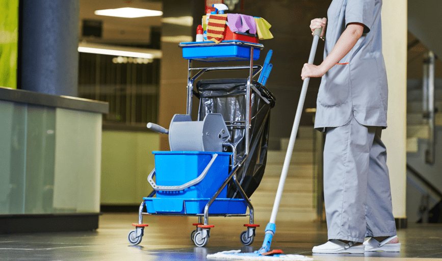 Luxe Cleaning Service